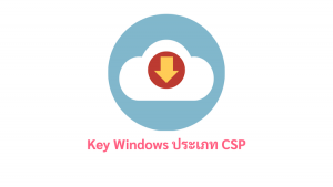 ภาพประกอบหัวข้อKey Windows ประเภท CSP (Key Windows type CSP)